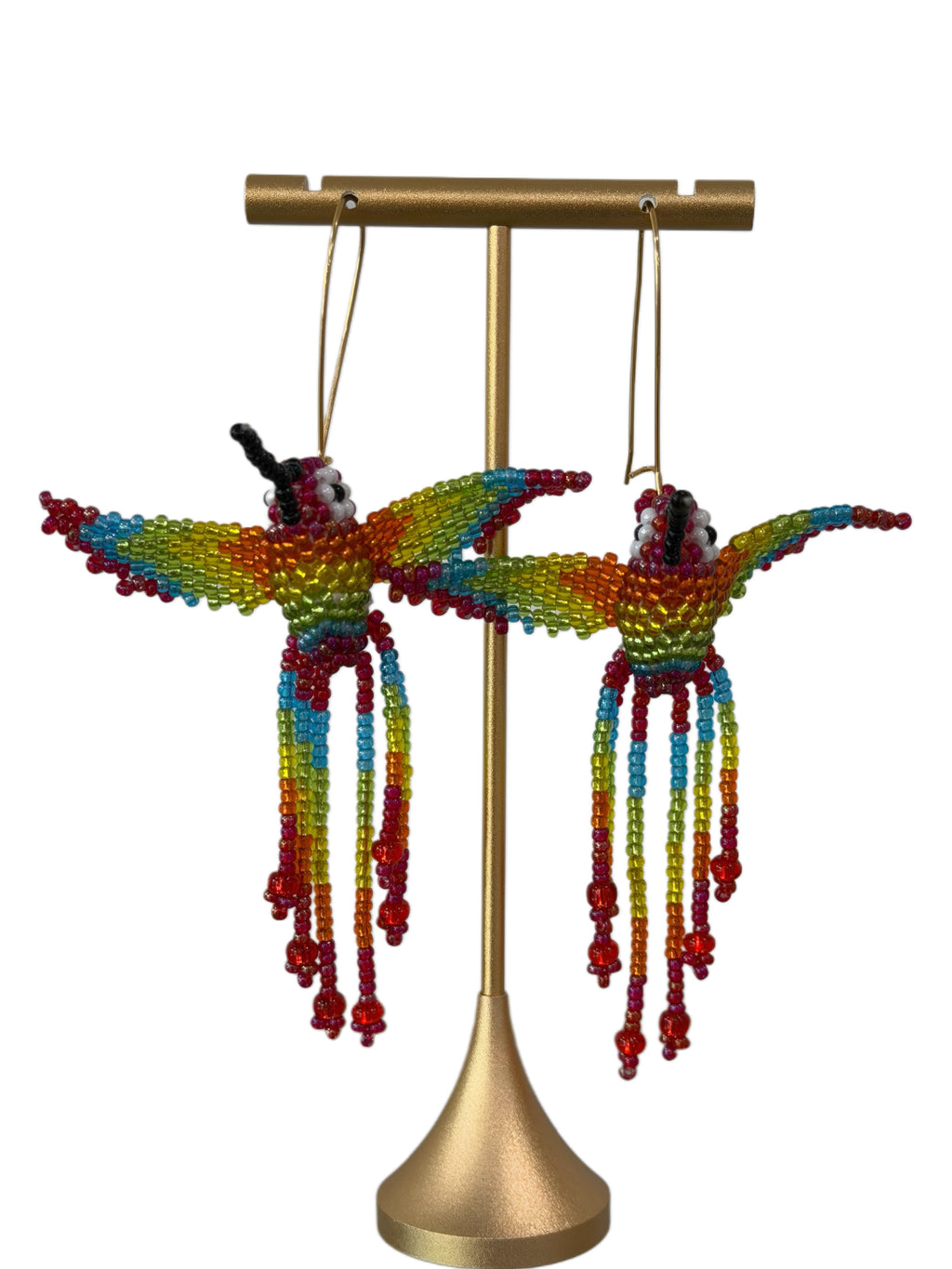 Colibrì Rainbow