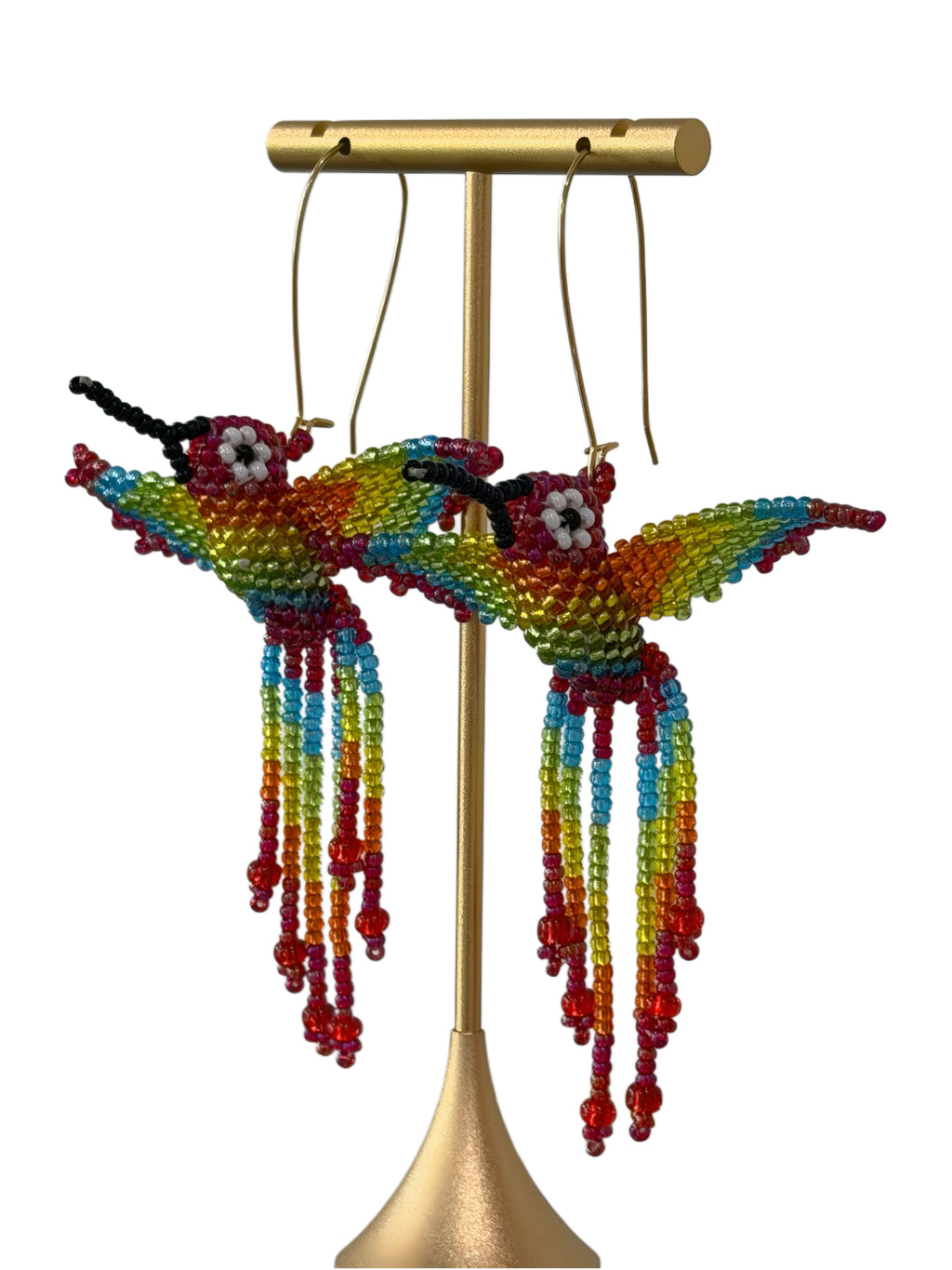 Colibrì Rainbow